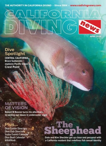 California Diving News - April 2026 cover