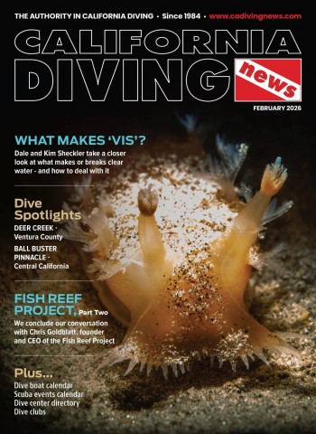 California Diving News - February 2026 cover