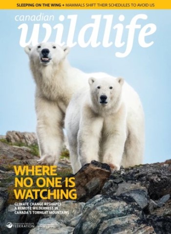 Canadian Wildlife - January-February 2026 Magazine