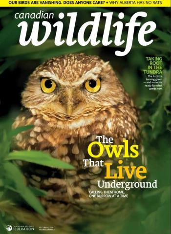 Canadian Wildlife - July-August 2026 Magazine