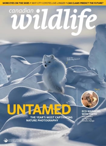 Canadian Wildlife - March-April 2026 Magazine