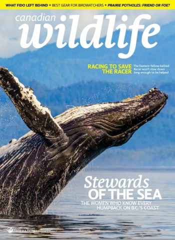 Canadian Wildlife - May-June 2026 cover