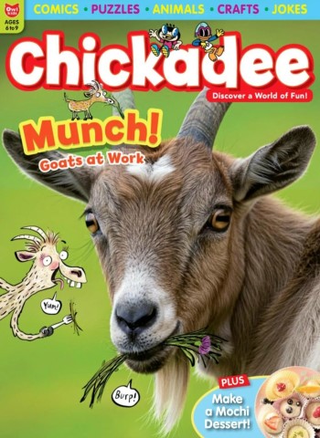 Chickadee - May-June 2026 cover