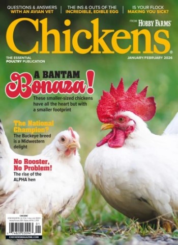 Chickens - January-February 2025 Magazine