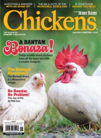 Chickens - January February 2026 Magazine