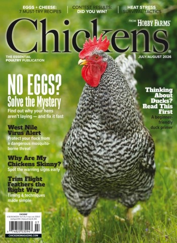 Chickens - July-August 2026 cover