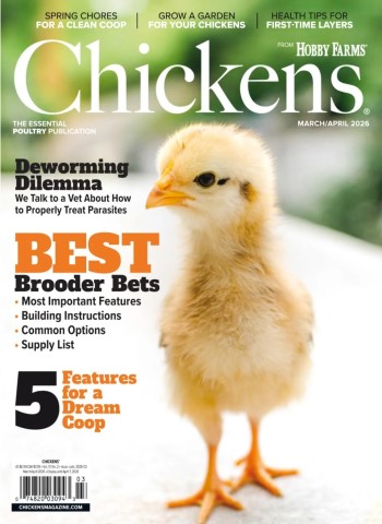 Chickens - March-April 2026 cover