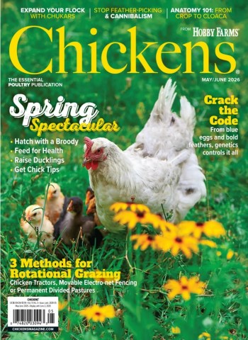 Chickens - May-June 2026 cover
