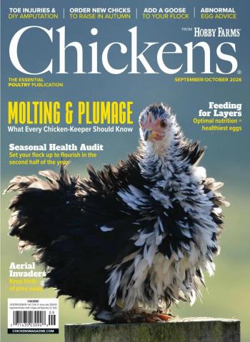 Chickens - September-October 2026 cover