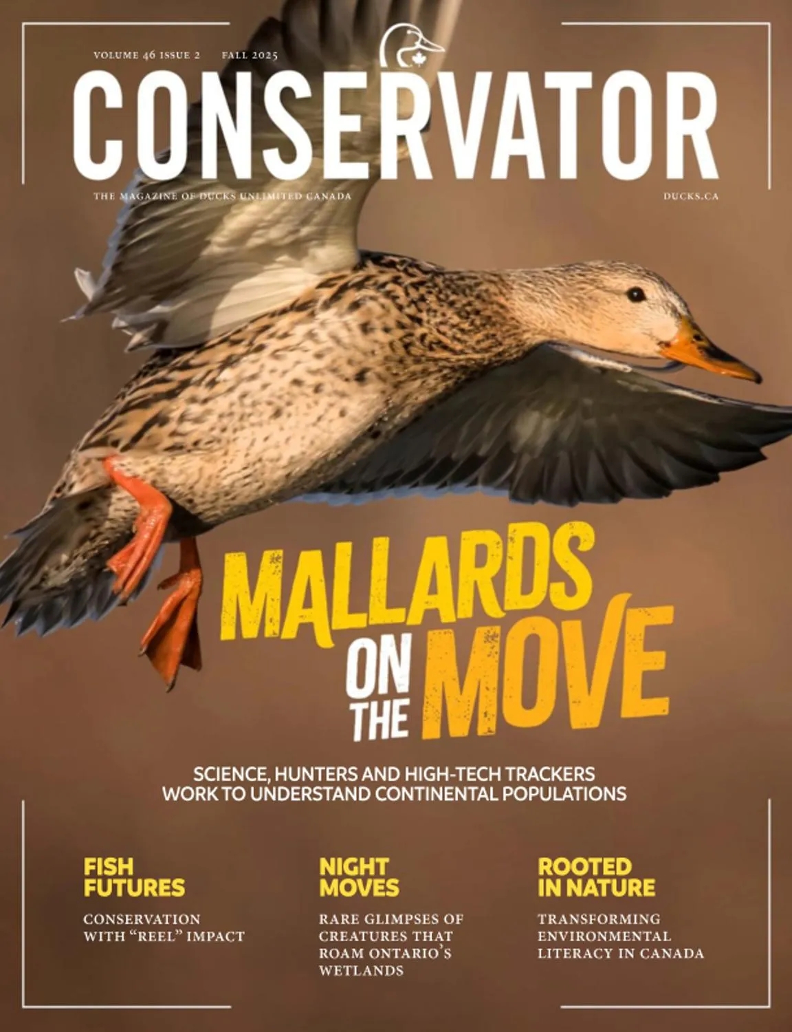 Conservator - Fall 2025 cover