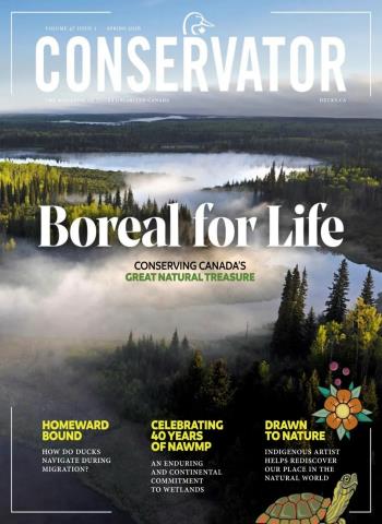 Conservator - Spring 2026 cover