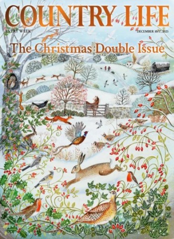 Country Life UK - December 10-17, 2025 Magazine