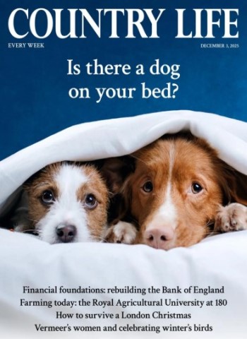 Country Life UK - December 3, 2025 Magazine