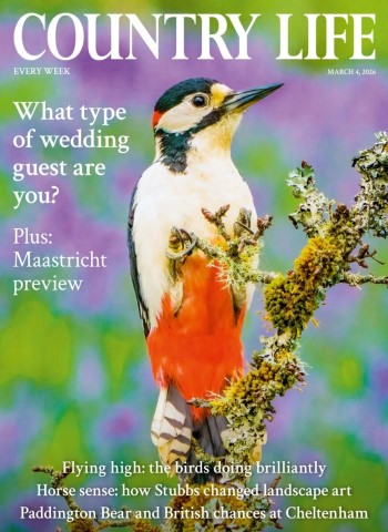 Country Life UK - March 4, 2026 cover