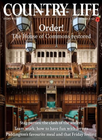 Country Life UK - October 29, 2025 Magazine