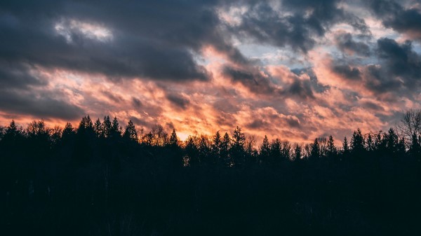 Clouds Trees Sky Sunset wallpaper