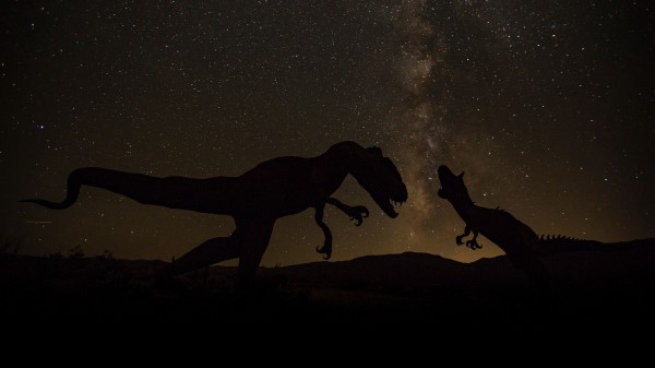 Dinosaurs Space Starry Sky Wallpaper