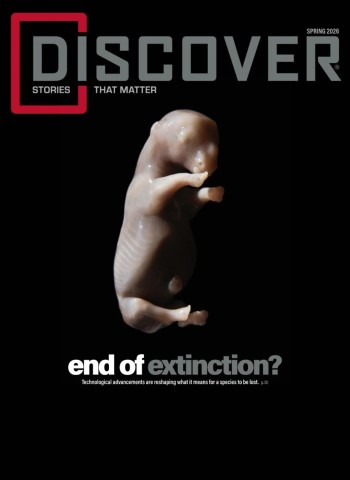 Discover - Spring 2026 cover