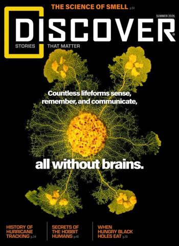 Discover - Summer 2026 Magazine
