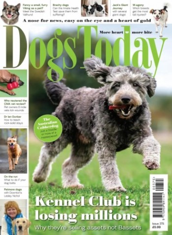 Dogs Today UK - Issue 375 2025 Magazine