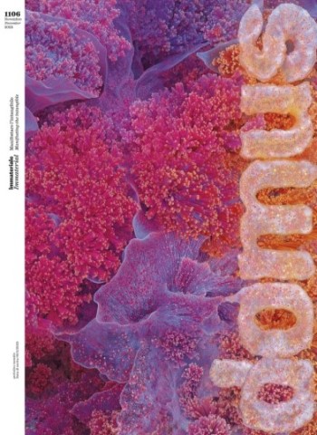 Domus Italia - Novembre 2025 Magazine