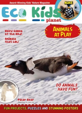 Eco Kids Planet Magazine - December 2025 Magazine