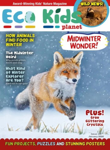 Eco Kids Planet Magazine - January 2026 cover