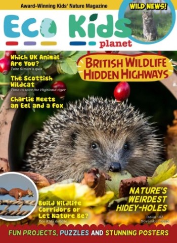 Eco Kids Planet Magazine - November 2025 Magazine