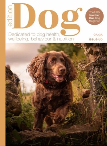 Edition Dog - Issue 85 2025 Magazine