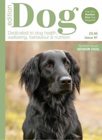Edition Dog - Issue 91 2026 Magazine