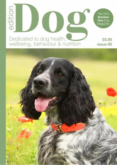 Edition Dog - Issue 95 2026 Magazine