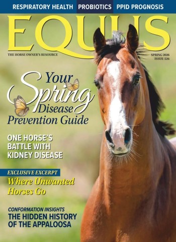 Equus - Spring 2026 cover
