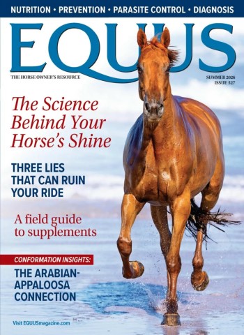 Equus - Summer 2026 cover