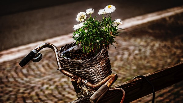 Bicycle Bouquet Basket wallpaper