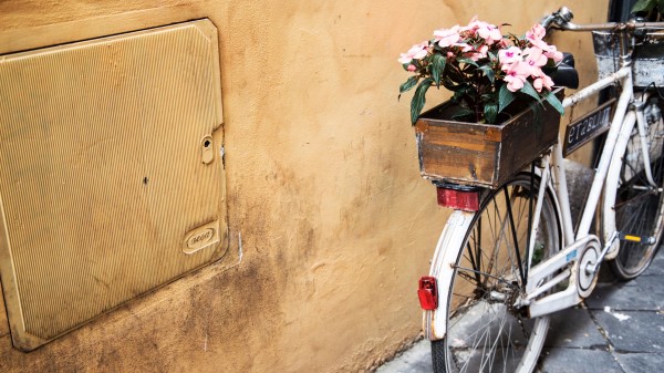 Bicycle Flowers Basket wallpaper