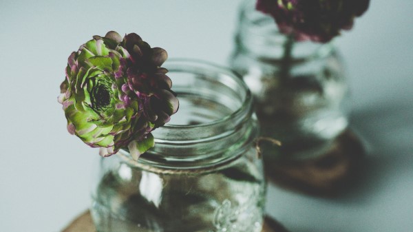 Flower Bank Bud Wallpaper