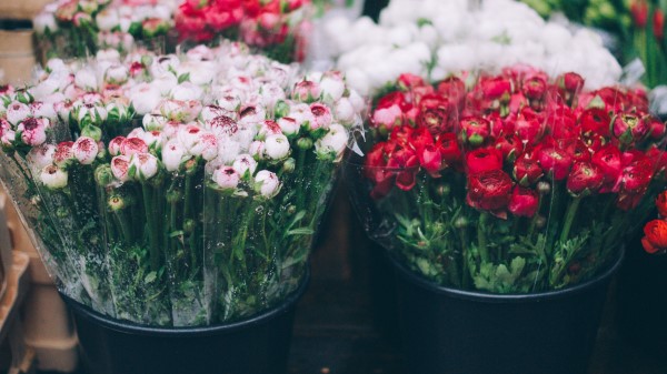 Flowers Bouquets Blur Wallpaper