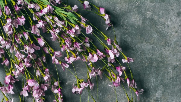 Flowers Purple Bouquet Image Wallpaper