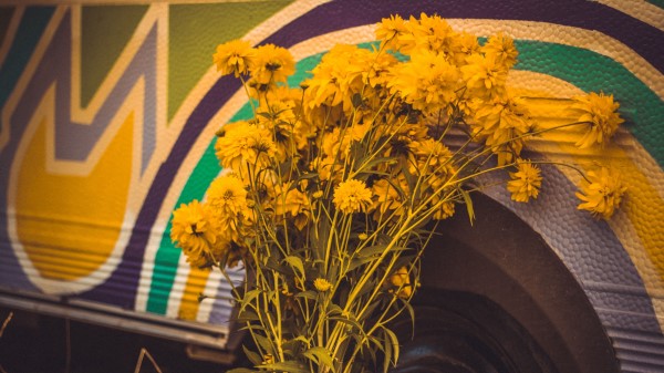 Flowers Yellow Bouquet Wallpaper