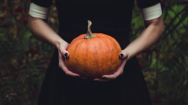 Pumpkin Hands Girl wallpaper