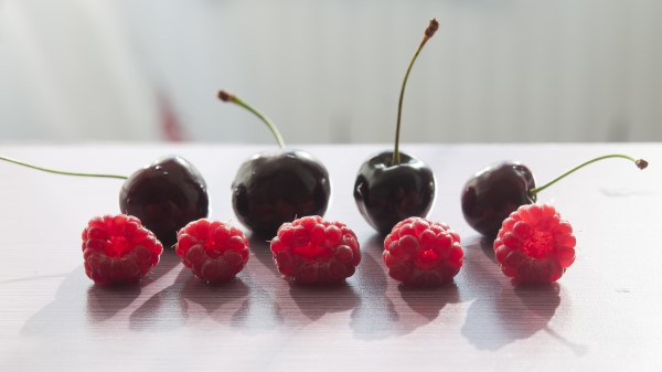 Raspberry Cherry Berry Shadows wallpaper