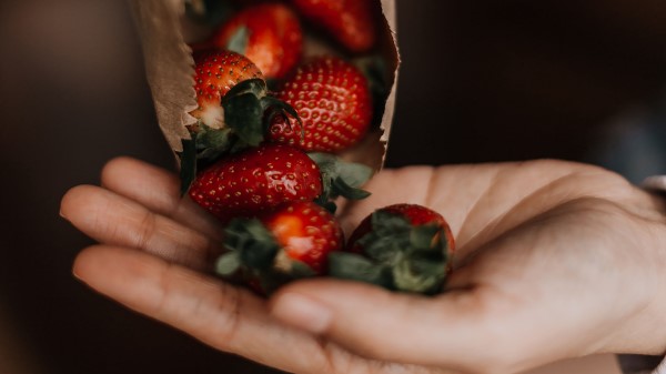 Strawberries Berries Fruits Wallpaper