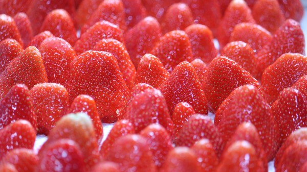 Strawberries Berries Milk Wallpaper