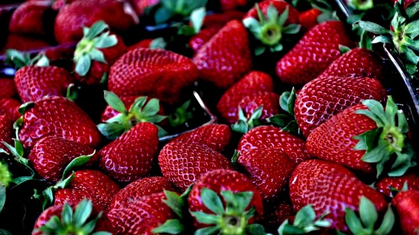 Strawberries Berries Ripe 2 Wallpaper