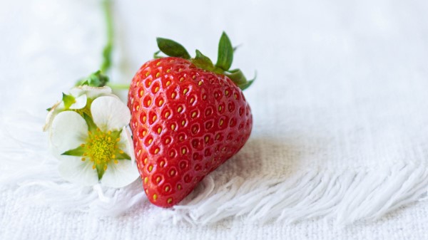 Strawberries Berry Flowers Wallpaper