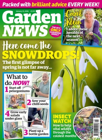 Garden News - 13 January 2026 Magazine