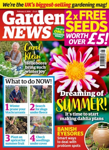 Garden News - 3 February 2026 Magazine