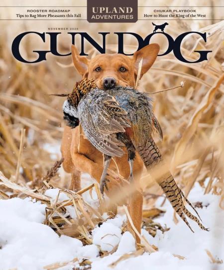 Gun Dog - November 2026 Magazine