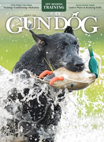 Gun Dog - Summer 2026 cover