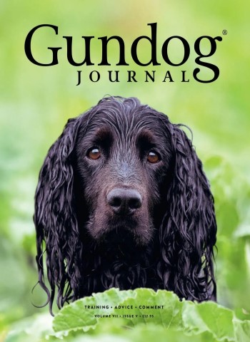Gundog Journal - Volume VIII Issue V 2026 cover